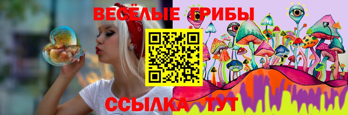 Верхний Уфалей  купить наркотик  Вход с VPN  Галлюциногенные грибы мицелий 